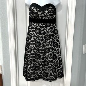 White House Black Market Cocktail Dress in a size 6